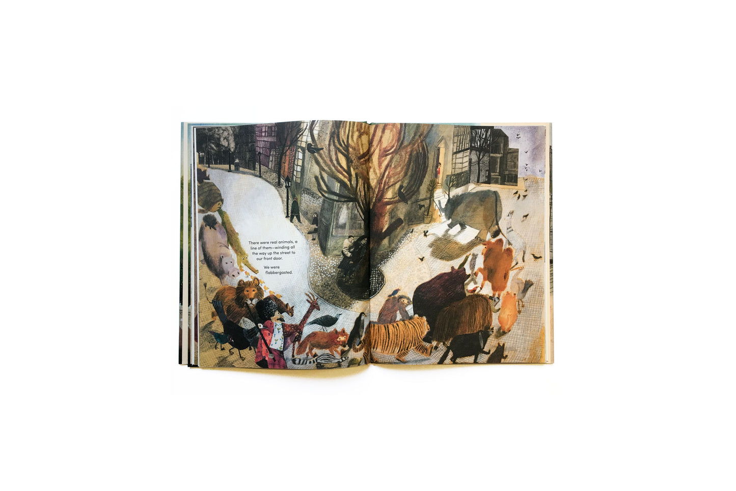 Harold Snipperpot's best disaster ever by Beatrice Alemagna