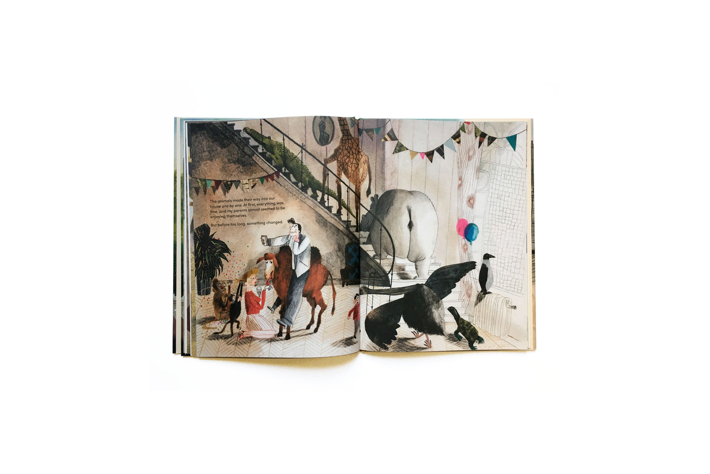 Harold Snipperpot's best disaster ever by Beatrice Alemagna