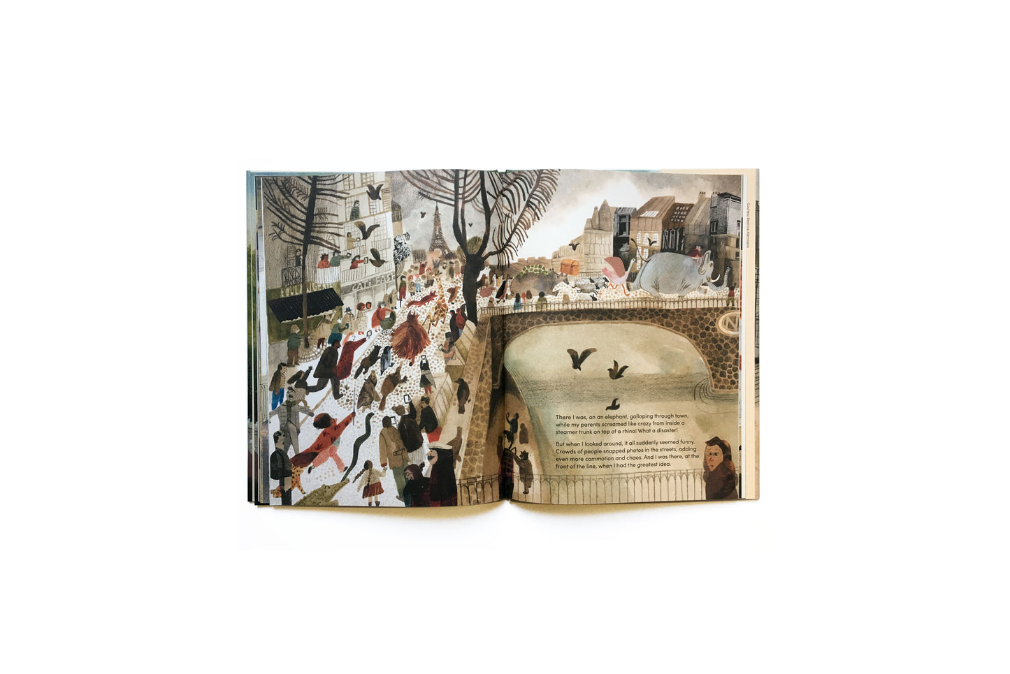 Harold Snipperpot's best disaster ever by Beatrice Alemagna