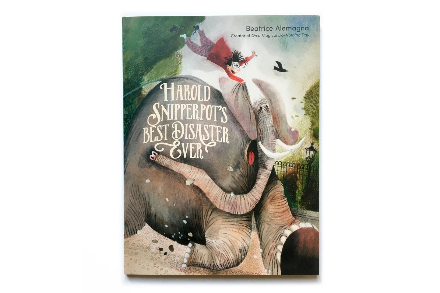 Harold Snipperpot's best disaster ever by Beatrice Alemagna