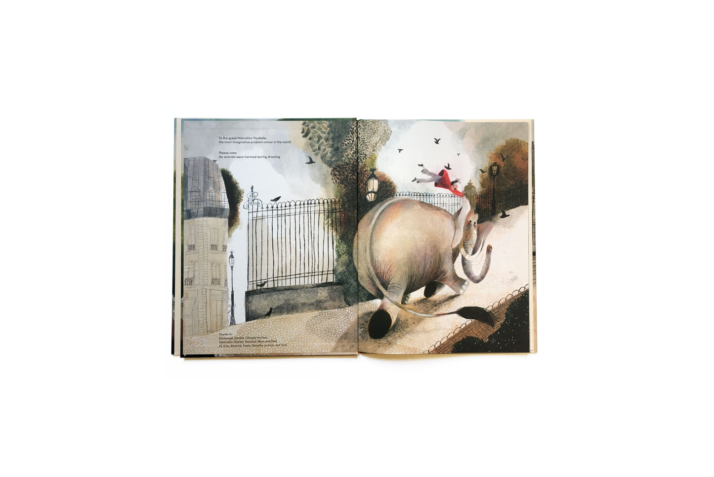 Harold Snipperpot's best disaster ever by Beatrice Alemagna