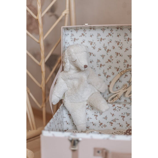 Small cuddly white sheep by SENGER-Naturwelt