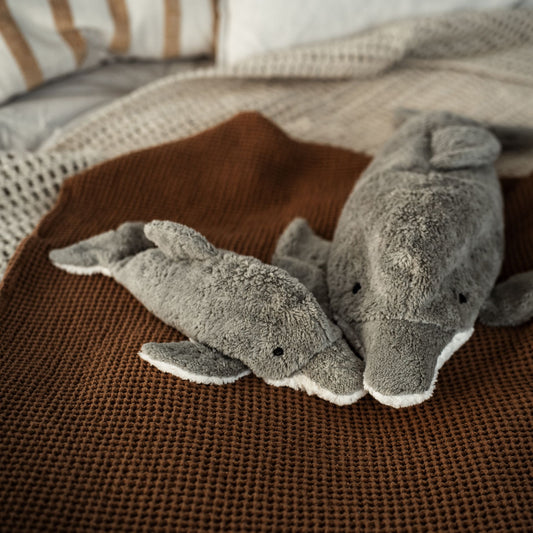 PREORDER - Small grey dolphin by SENGER-Naturwelt