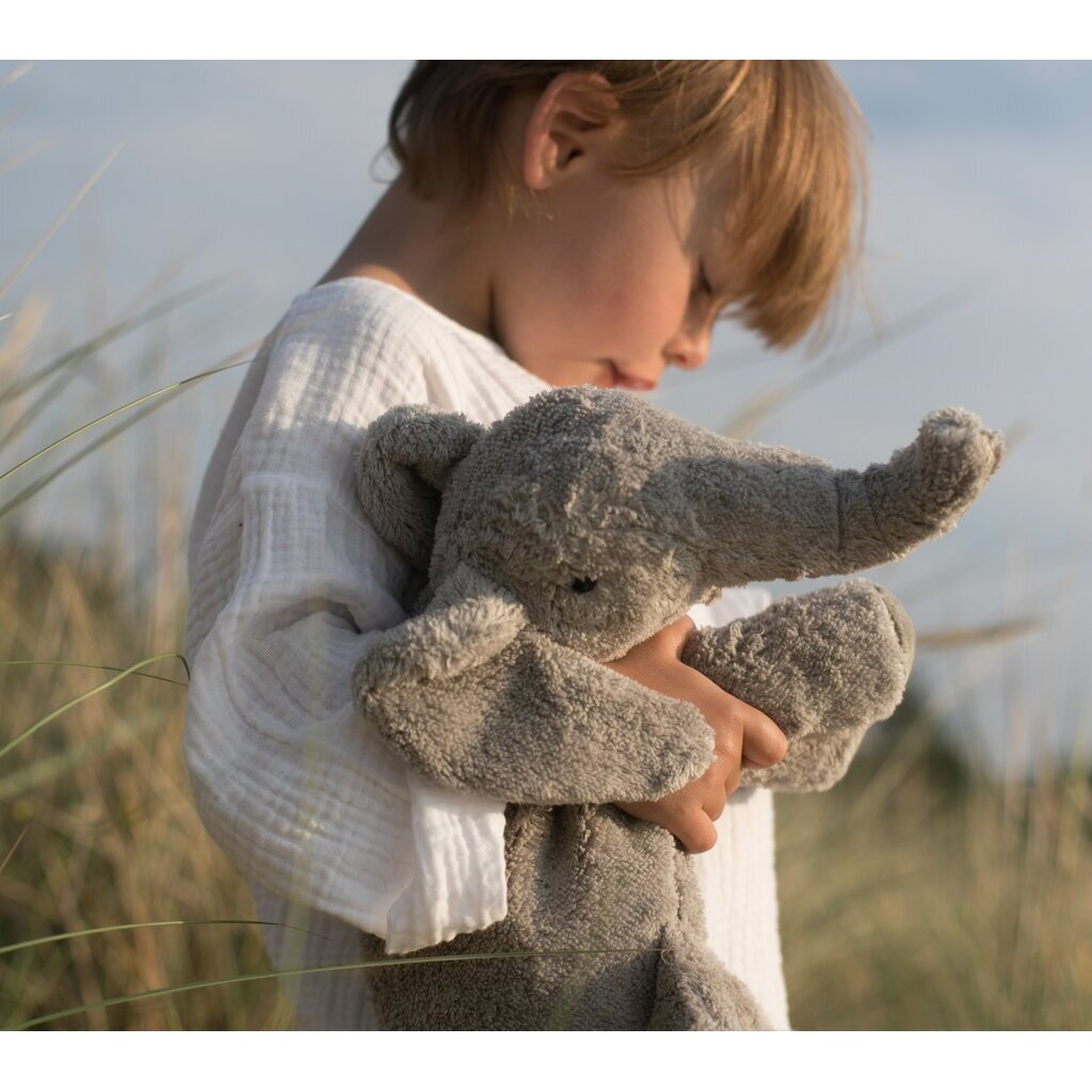 Small elephant by SENGER-Naturwelt