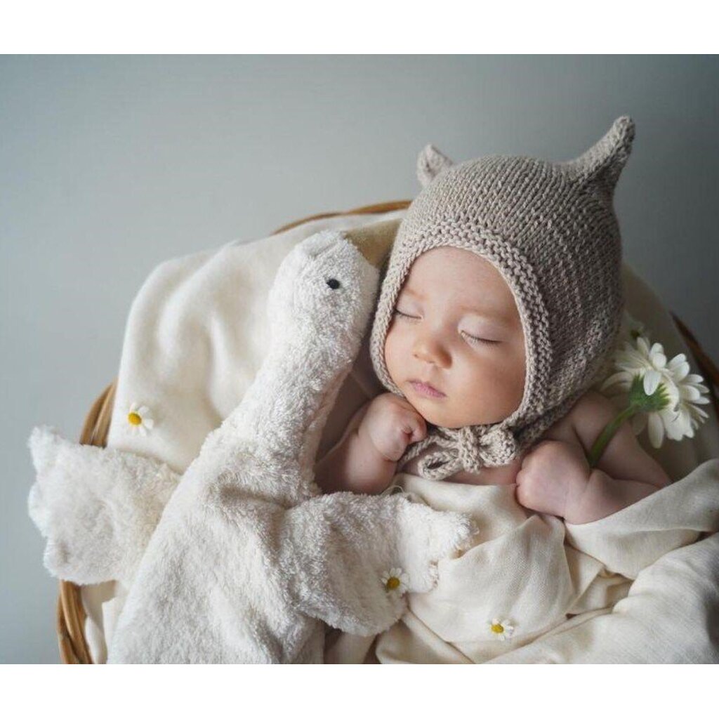 Small Goose by SENGER-Naturwelt