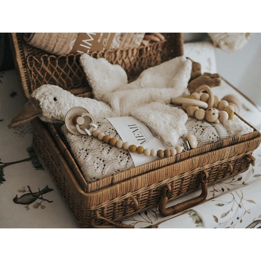 Small Goose by SENGER-Naturwelt