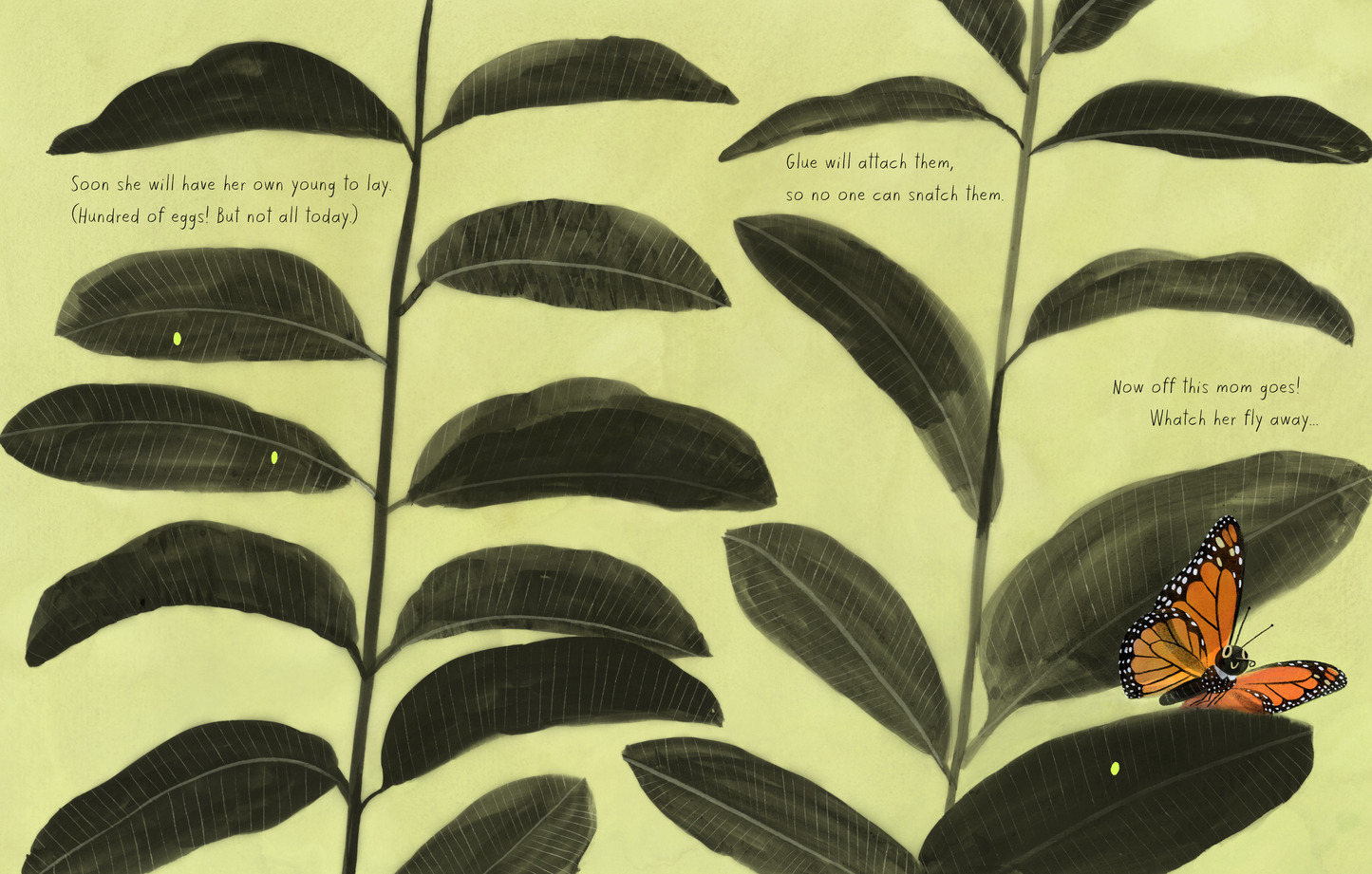 The Monarch by Isabelle Arsenault and Kirsten Hall