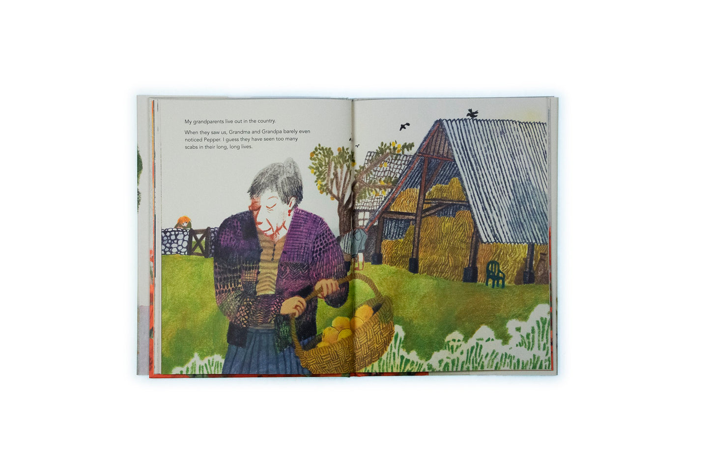 Pepper & me by Beatrice Alemagna