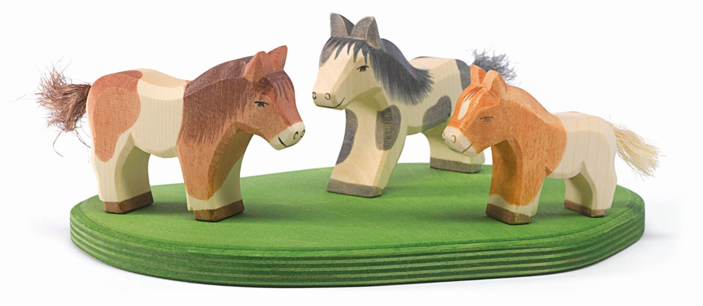 Brown shetland pony by Ostheimer