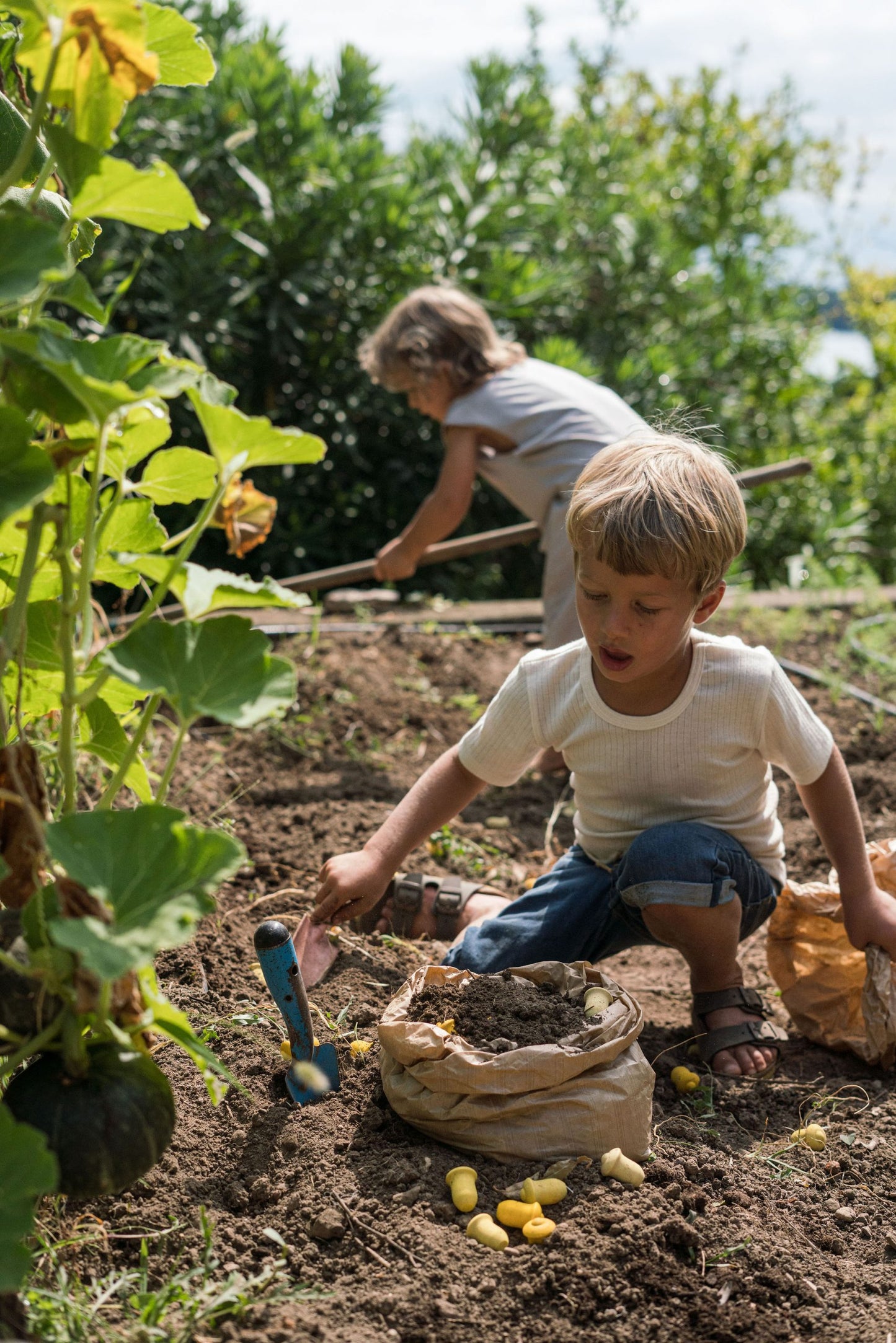 Tulip mandala by Grapat