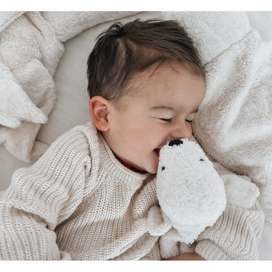 Small white seal by SENGER-Naturwelt
