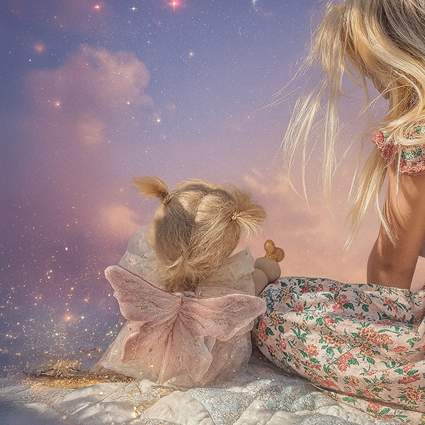 Dream Dinkum Fairy Willow
